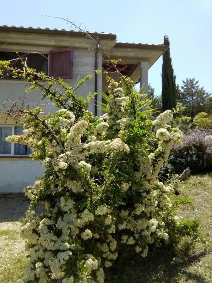 Casa D' Artista B&B Ozieri Ιταλία